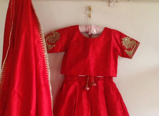 Red Raw Silk Box Pleated Lehenga - Hand Embroidered Blouse & Dupatta Set - Indian Party Wear Skirt with Pockets